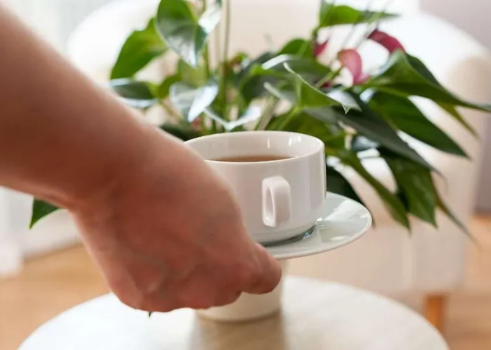 The Originals Access, Corinna, 2*